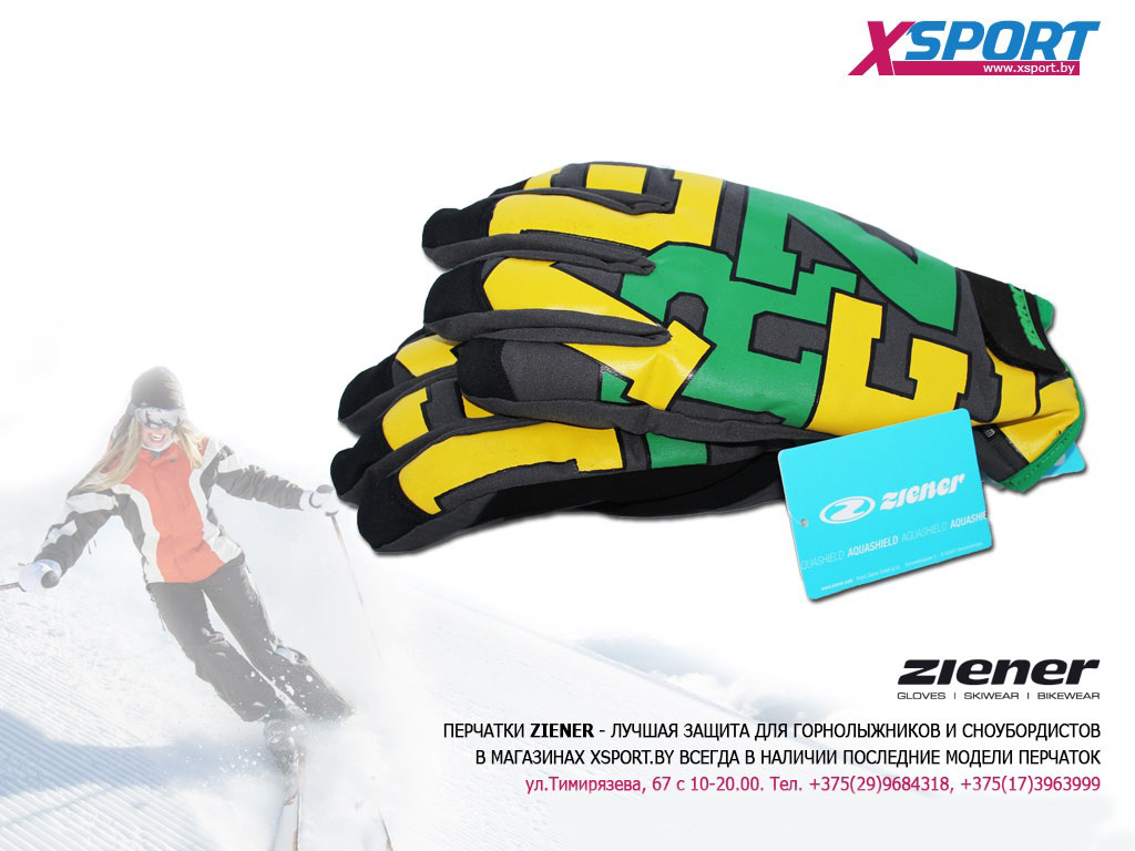 Перчатки Games GTX® XCR PR Glove Ski Alpine
